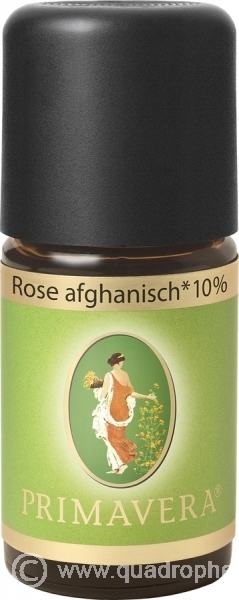 Primavera Rose afghanisch ätherisches Öl bio 10% 5ml